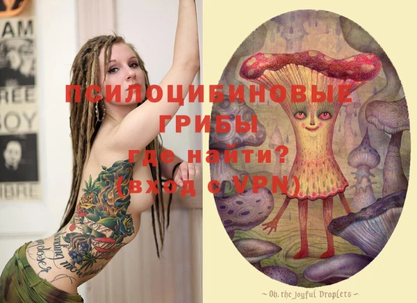 индика Иннополис