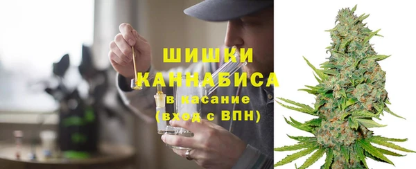 СК Зерноград