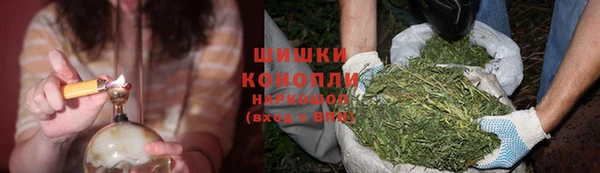 мдпв Зеленодольск