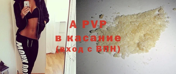 СК Зерноград