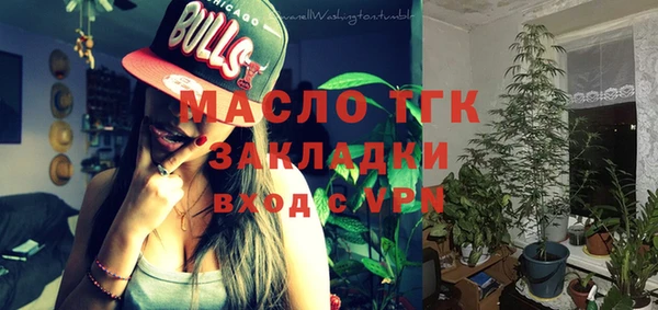 индика Иннополис