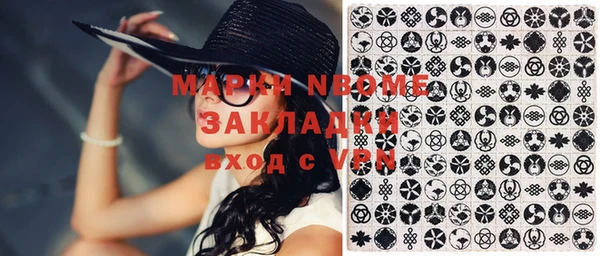 индика Иннополис