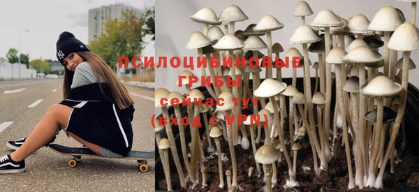 а пвп мука Инта