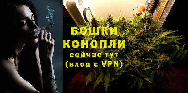 мдпв Зеленодольск