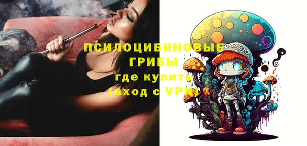 мдпв Зеленодольск