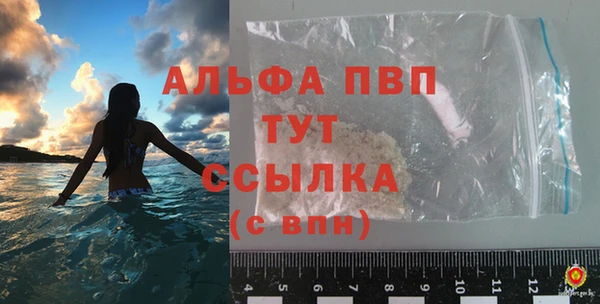 индика Иннополис