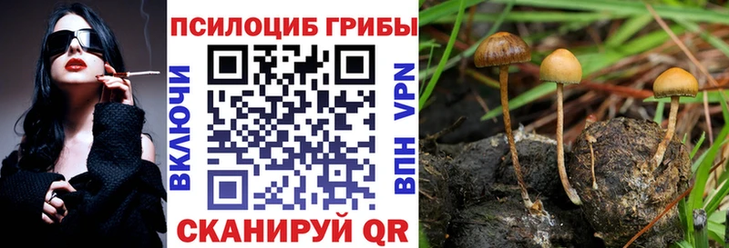 Псилоцибиновые грибы мицелий  Купить закладки  Бугульма 